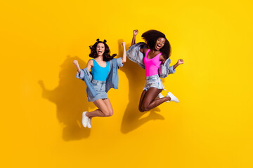 Fototapeta na wymiar Photo of two charming lucky young girlfriends wear denim clothes jumping high rising fists isolated yellow color background