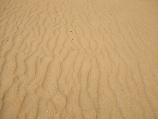 sand ripples on the beach