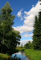 Fototapeta na wymiar A typical Russian landscape. Small boggy river. Tall birches and fir trees against the sky. 