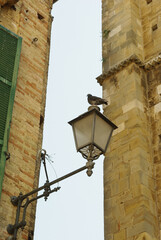 Fototapeta na wymiar An ancient lamppost with a crouching pigeon on it