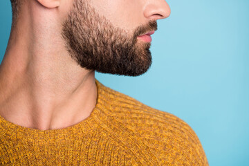 Cropped photo of young handsome masculine man with shaved beard wear knitted pullover isolated on blue color background