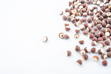 Chinese medicine Gorgon on white background