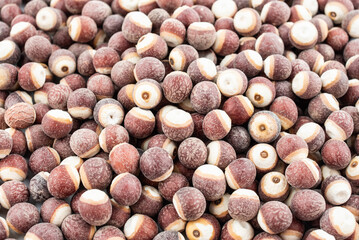 Chinese medicine Gorgon on white