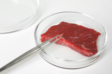 Petri dish with piece of raw cultured meat and tweezers on white table, closeup