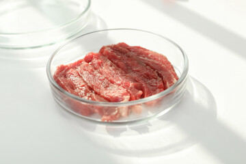 Petri dish with pieces of raw cultured meat on white table