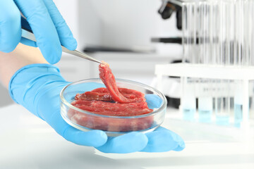 Scientist taking raw cultured meat out of Petri dish with tweezers at white table in laboratory,...
