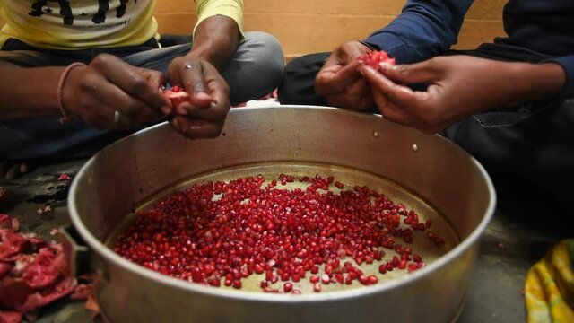 Two boys take out pomegranate seeds and put them in a pot to make chutney.