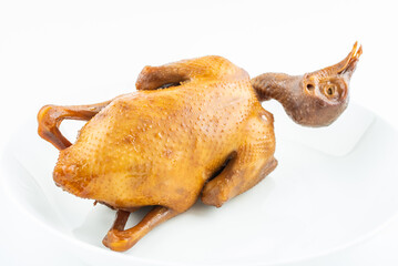 A brine pigeon on white background