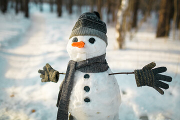 snowman in the snow