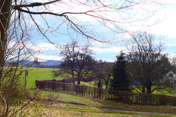 Landschaft im Wienerwald