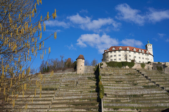 Castle on a vineyard in spring, in front of blue sky. Tree with twigs in the foreground. Germany, Vaihingen Enz.