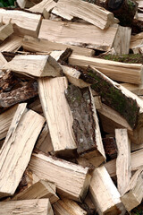 Firewood