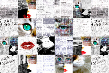 Fototapety  Newspaper paper. News about catwomen on horizontal page