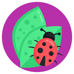 
Leaves with beetle, concept of crop bug 

