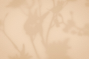 Flower shadows on light brown and cream color wall.; 