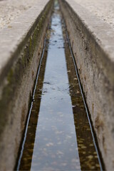 perspectief