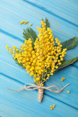 Beautiful mimosa flowers on light blue wooden table, flat lay