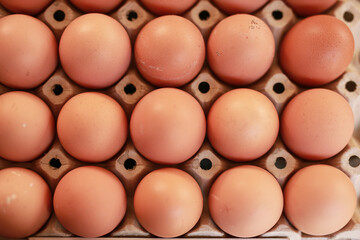 Chicken eggs in the package