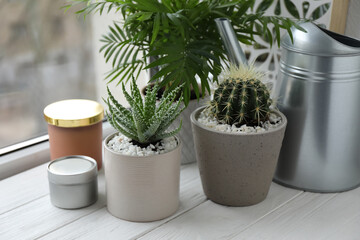 Beautiful Aloe, Cactus, Chamaedorea in pots with watering can and decor on white wooden windowsill, closeup. Different house plants