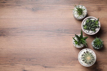 Different house plants in pots on wooden table, flat lay. Space for text.