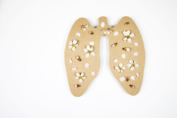 Paper lungs on a white background and natural fresh flowers. Healthy breathing concept.