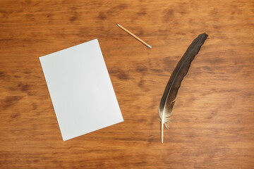Still life of a white paper sheet, feather and pencil. Wood background.