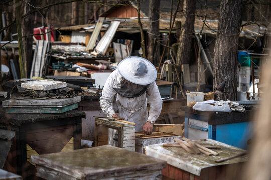 beekeeper in overalls pulls honeycomb out of the hive