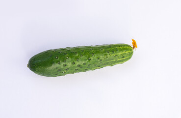 A green cucumber with a yellow flower on a light background.