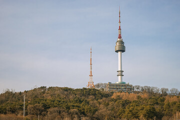 Fototapeta premium Tower