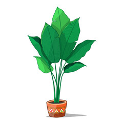 Tropical plants in pot. Vector Illustration.