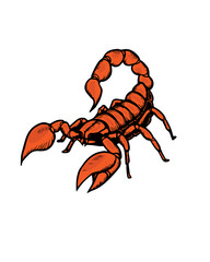 Vector illustration of a scorpion. Scorpion vector. Can be used as a sketch for a tattoo. Poster and art
