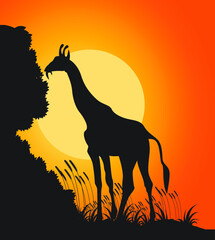 Giraffe Silhouette with sunset vector illustration

