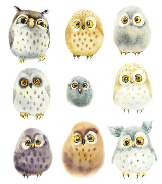 Funny Fluffy Watercolor Owls. Hand drawn illustration