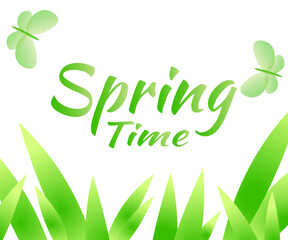 Spring time card green grass background