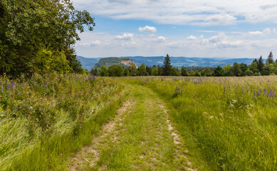 Obraz premium Long path with bushes and fields around in Kaczawskie mountains