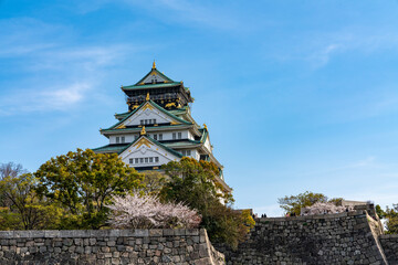 Fototapeta premium [大阪府]春の大阪城天守閣
