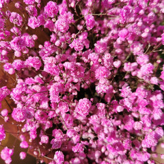 Beautiful summer small flowers in the basket. Flowers basket on the street