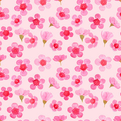 Fototapeta na wymiar Pink petal Wax flower blossom pattern illustration watercolor painted