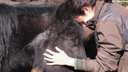 Caucassian female forming bond with black pony (mare).