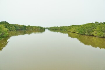 Fototapeta na wymiar Everglades