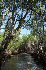 Everglades National Park
