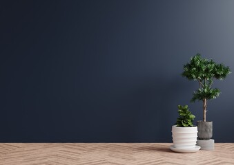 Empty room dark blue walls, with beautiful plants on the side of the floor.3d rendering.