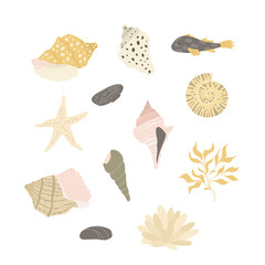 Objects from the seabed - fish, coral, shell, starfish, seaweed. Nature under water. Flat design, vector illustration