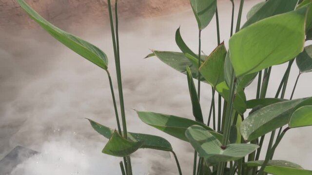 humidifier machine spraying water vapor fog mist on surface of pond in garden
