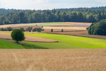 Agrarlandschaft