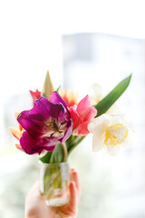 A bunch of tulips on the window. Still life with colorful tulip flowers bouquet  on window sill
