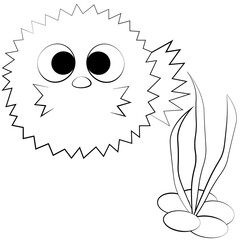 Cute cartoon Sea Hedgehog. Draw illustration in black and white