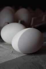 white fresh eggs in the sun