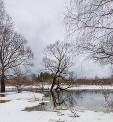 Early spring. The river is flooded. Dry grass is visible from under the snow and water. Trees in the background. April, snow melts, floods.