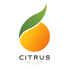Abstract bright taste fruit citrus orange logo with green leaf sign.Design template fresh icon,juice concentrate symbol from curved lines.Print for pattern textile fabric.Vector isolated illustration